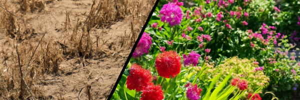 graphic image to show the topic of AI